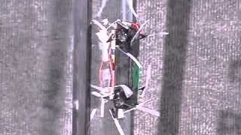 A small wall-walking robot with compliant, adhesive feet