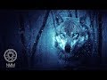 Native American Flute Music: "Wolf Instinct", Meditation Music for Shamanic Astral Projection 41804N