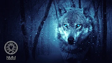 Native American Flute Music: "Wolf Instinct", Meditation Music for Shamanic Astral Projection 41804N