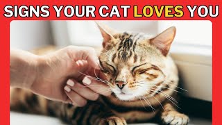 12 Signs Your Cat Loves You