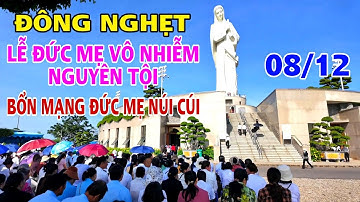 ĐÔNG NGHẸT ĐỨC MẸ NÚI CÚI TRONG NGÀY LỄ ĐỨC MẸ VÔ NHIỄM NGUYÊN TỘI, BỔN MẠNG TTHH ĐỨC MẸ NÚI CÚI !!
