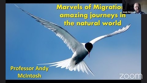 Marvels of Migration (with Prof. Andy McIntosh)