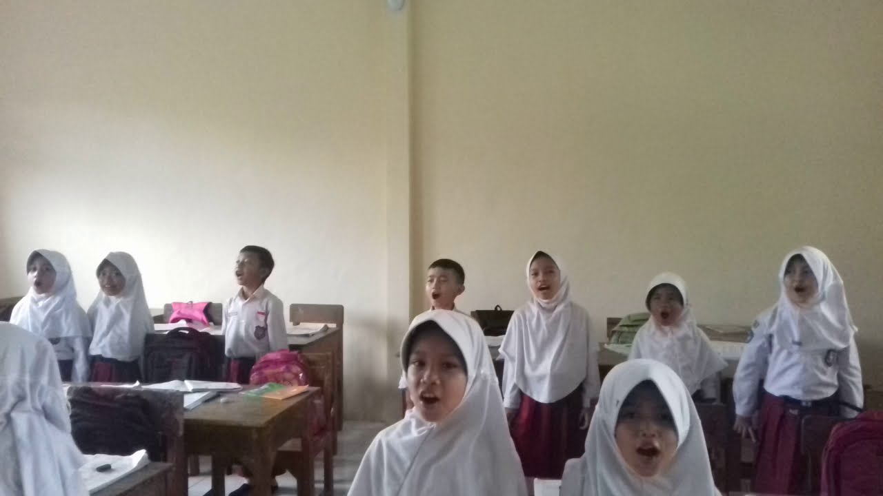 Burung Tantina Sactje Hehanusa 2b Youtube