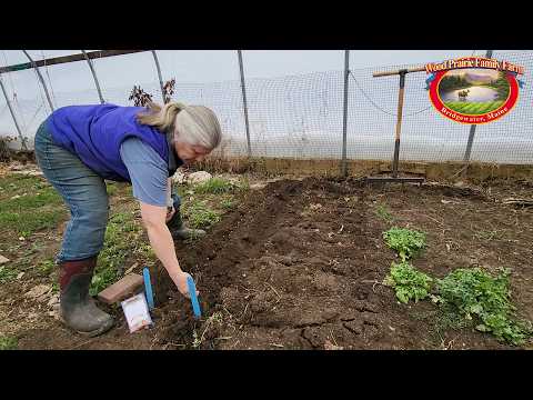 Spring Gardening Hacks: Enjoy the Process, Love the Results