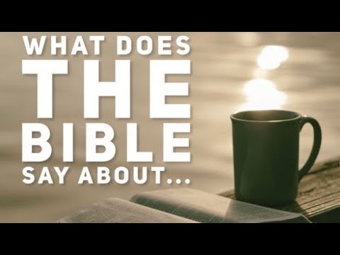 What The Bible Says About…Creation?