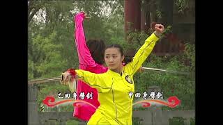 Jianshu 5 duan wei Chinese Wushu Duanwei 剑 straight sword