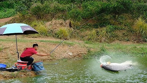 Câu Đài | Câu Cá Rô Phi cực nhát tại hồ số 5 Trang Trại Chiến Thắng | Mồi Câu Cá Khó Chịu
