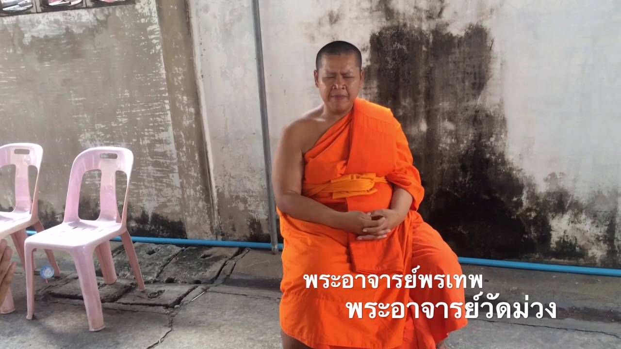 ประวัติความเป็นมาของวัดม่วง ปัญญาวรคุณ(ม.๔/๘)