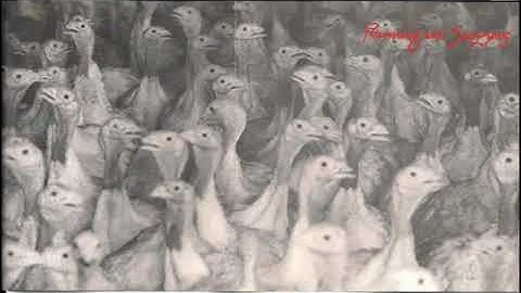 4. Running With Scissors - Piss