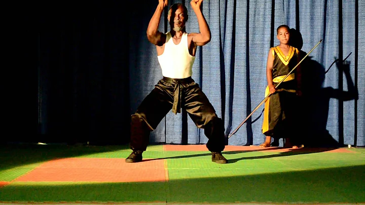 Hung Gar Kung Fu - Oriental Evening 2012 demonstra...