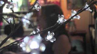 Miniatura del video "Beth Nielsen Chapman - The SimpleThings"