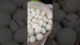 BALOT/PINOY deliciousfood  pinoyfood Pampalakas tuhod shortsviral fyp balot