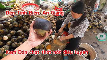 Đến Tịnh Biên, An Giang xem người dân bán trái thốt nốt, chặt thốt nốt điêu luyện