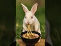mbti rabbit 🐇 #shorts #funny #cute #viralvideo #memes #viral #trending #foryou #fyp #fun #food #먹방