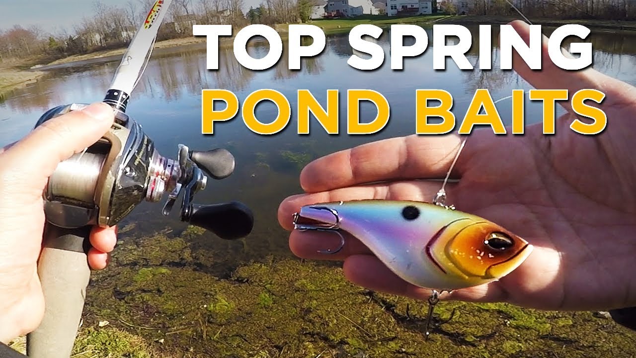 The Best Pond Bass Fishing Lures To Fish In Spring 