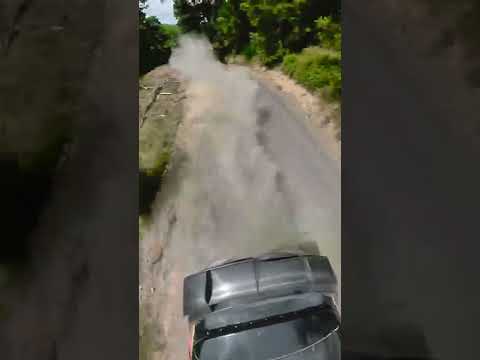 Rally New Zealand