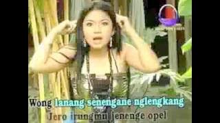 www stafaband co   Watu Cilik   Lagu dangdut