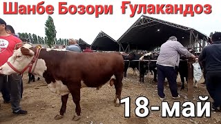 Шанбе Бозори Гулакандоз 18-май нарху навои букачахои майда ва калон молхои оча бача имруз