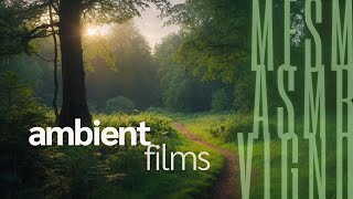 Calming English Woodland at Twilight :: Ambient, ASMR, White Noise, Rain Sounds by Ambient Films ::::::: 95 views 2 weeks ago 40 minutes