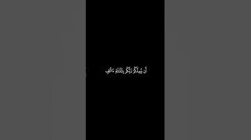 #سورة_آل_عمران بصوت الشيخ #يوسف_الصقير