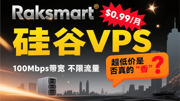 Raksmart $0.99/月硅谷VPS深度测评：100Mbps带宽不限流量，超低价是否真的“香”？