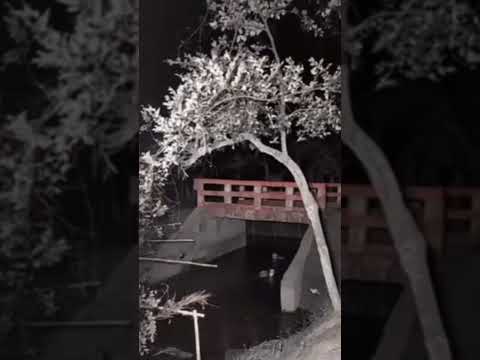 النداهة أسطورة مصرية مرعبة اكسبلور اساطير الجن اساطير العرب