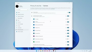 Camera Not Working On Zoom In Windows 11/10