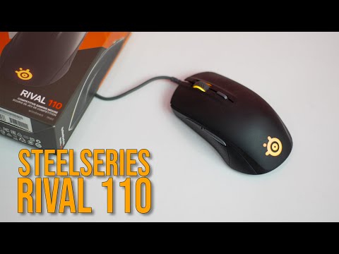 SteelSeries Rival 110 still a GREAT Mouse in 2021