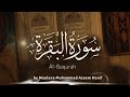Complete Surah Baqarah Recitation in 1-hour & 10-mins with beautiful nature HD bg video