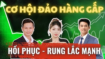 HỒI PHỤC NHƯNG RUNG LẮC MẠNH, tài sản nào là TỐT NHẤT để Mua Ngay trong chứng khoán