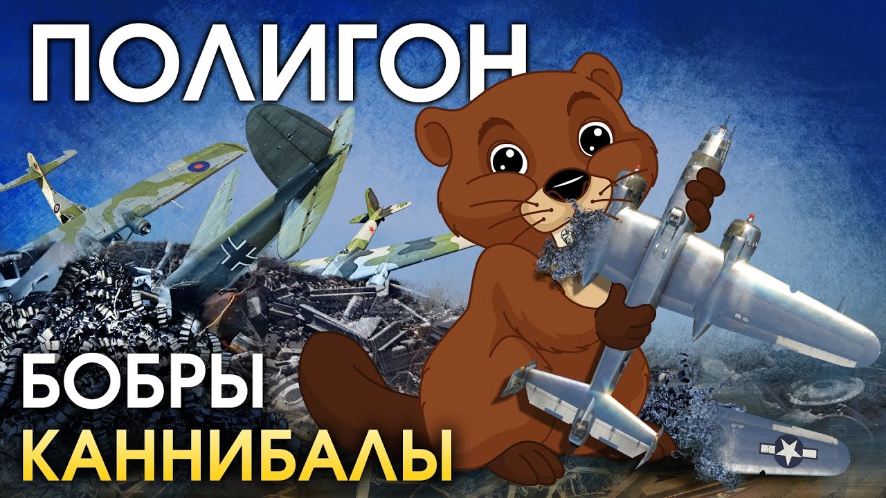 бобры в вартандер бобры в вартандер