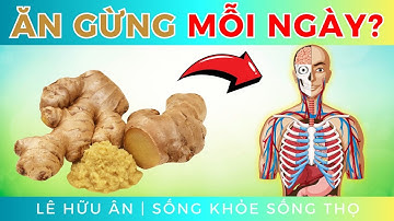 Điều Gì Xảy Ra Với Cơ Thể Bạn Khi ĂN GỪNG MỖI NGÀY ((Khám Phá Sức Mạnh Của Loại Gia Vị Quý Giá)