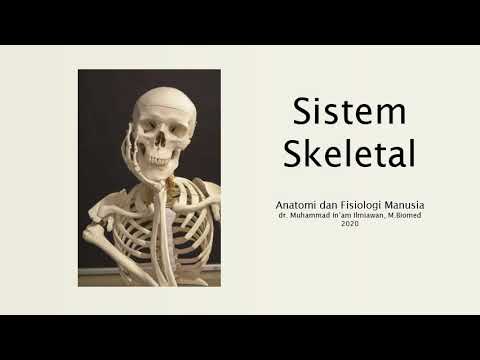 Anatomi & Fisiologi Sistem Skeletal