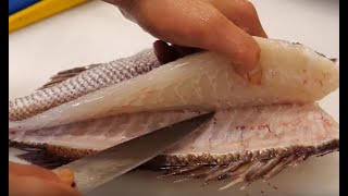 참돔 마스까와는 어떻게 하는 것일까?, 가성비 갑 모듬회_Red Snapper Fillit, sashimi_Korean street food