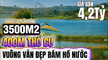 🔴Bán đất đẹp lâm đồng hơn 3500m2 hết sức vuông vắn bám hồ view hồ 400m thổ cư Lh : 0379.590.939
