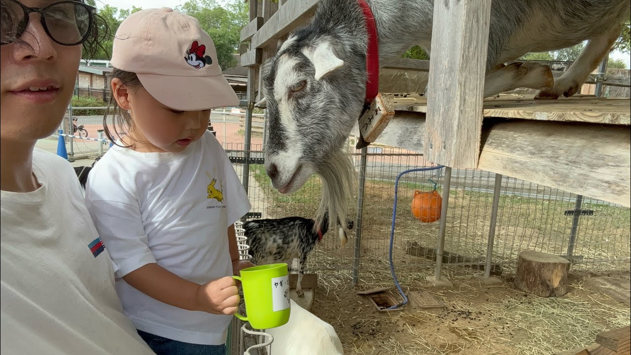 【父娘二人暮らし】なんでもある動物園で１日入り浸る！