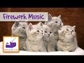 Relaxing Music for Cats Scared of Fireworks - Calming Music for Cats!