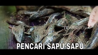 Pencari Sapu Sapu Secret Story 160125