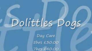 Dolittles Dog Walking Service by heather sharpe 44 views 15 years ago 44 seconds