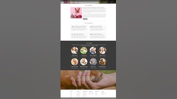 Stuting & Responsive muse template design