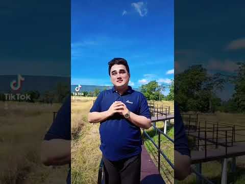 อยู่บ้านนาดีๆ tiktok โสด ติดตาม