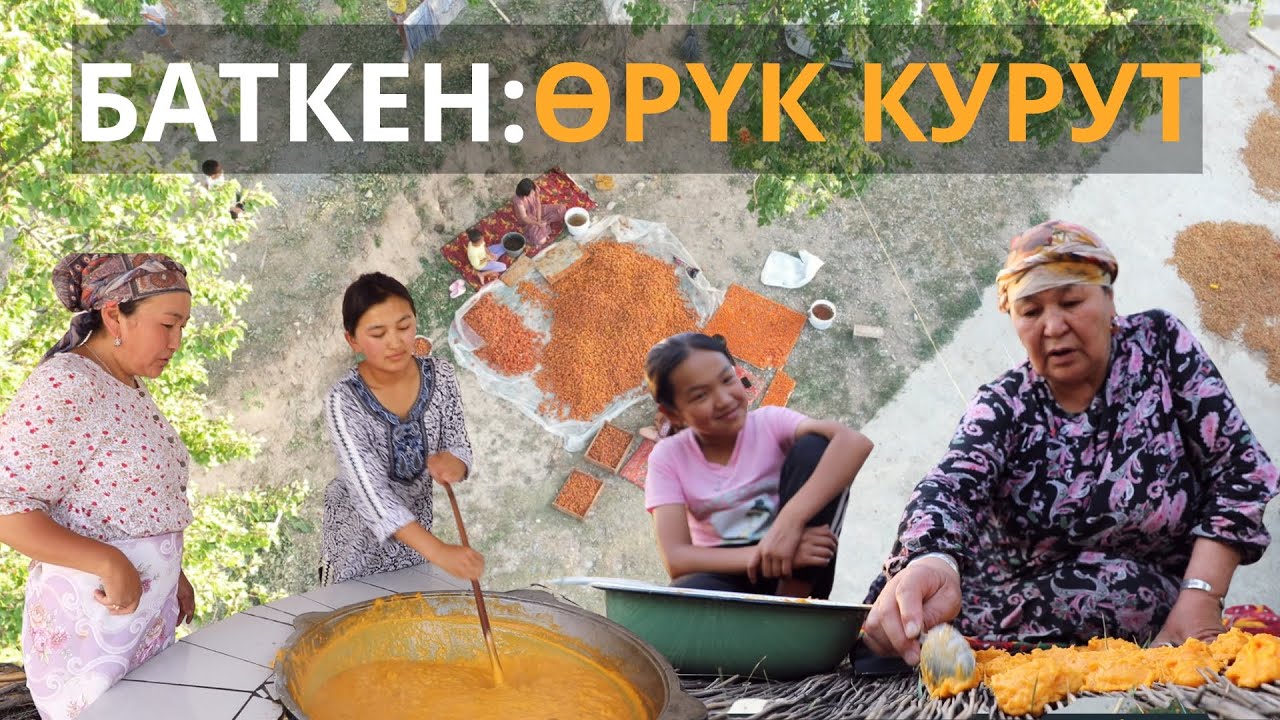 Өрүк курут даректүү тасма