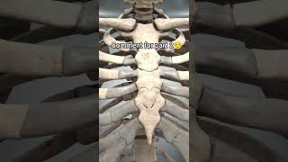 #facts #science# knowledge# human body structure internal part##