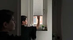 Blinds Quest