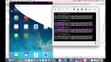 Running appium on iPad mini 9.0 real device.