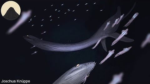 What was the Deep Sea like During Prehistoric Times? thumbnail
