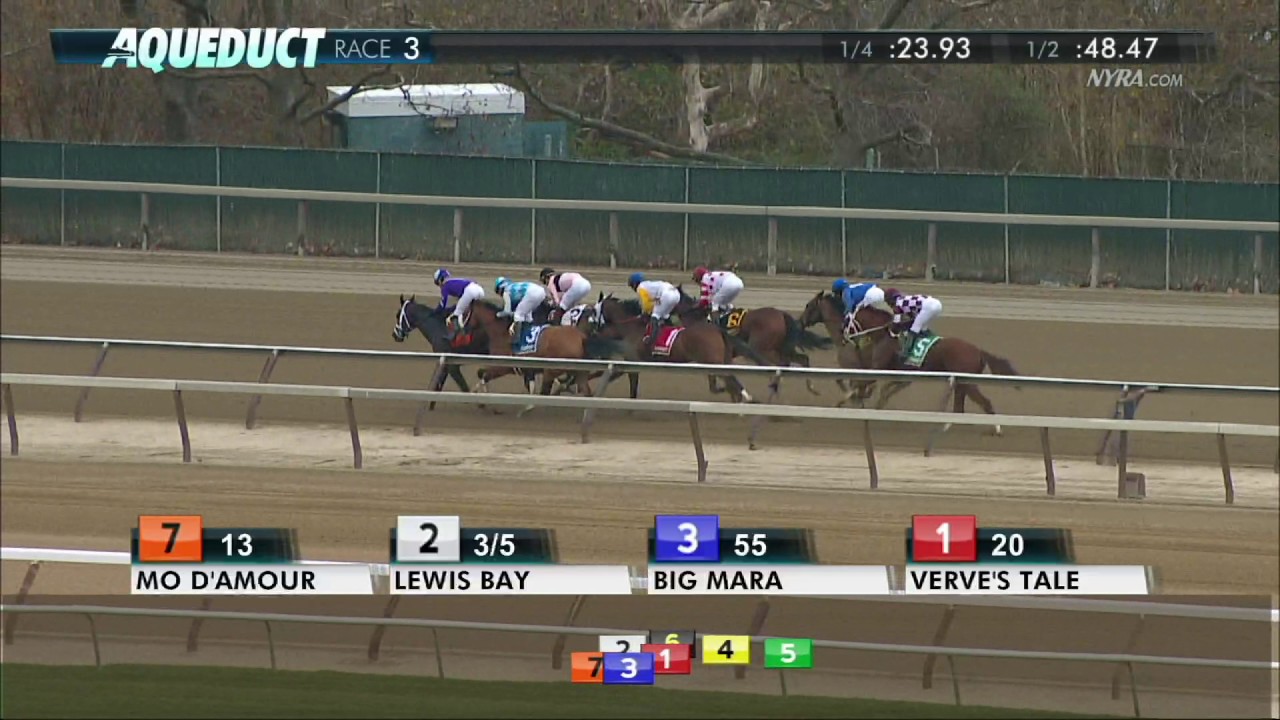 Verve's Tale - 2016 Comely Stakes