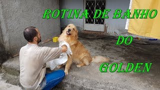 Como dar banho no seu Golden!!! Simples, Barato e Prático!!! Bathing your pet at home!