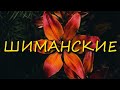 Шиманские | Там в вышине бесконечной