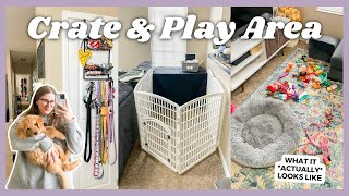 Tour of My Golden Retriever Puppy's Space in the Apartment | Her Play Area & Crate Setup